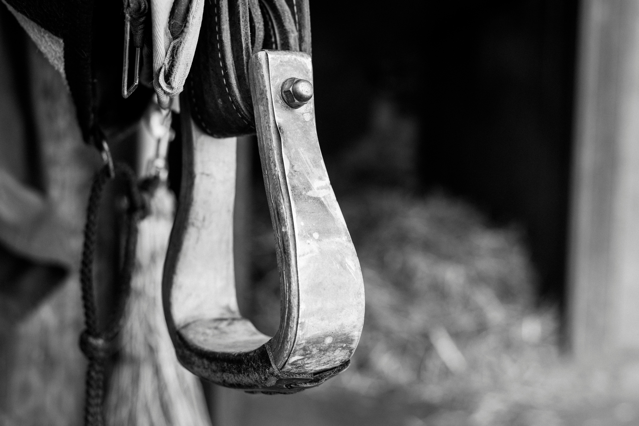 Horse Tack Close Up